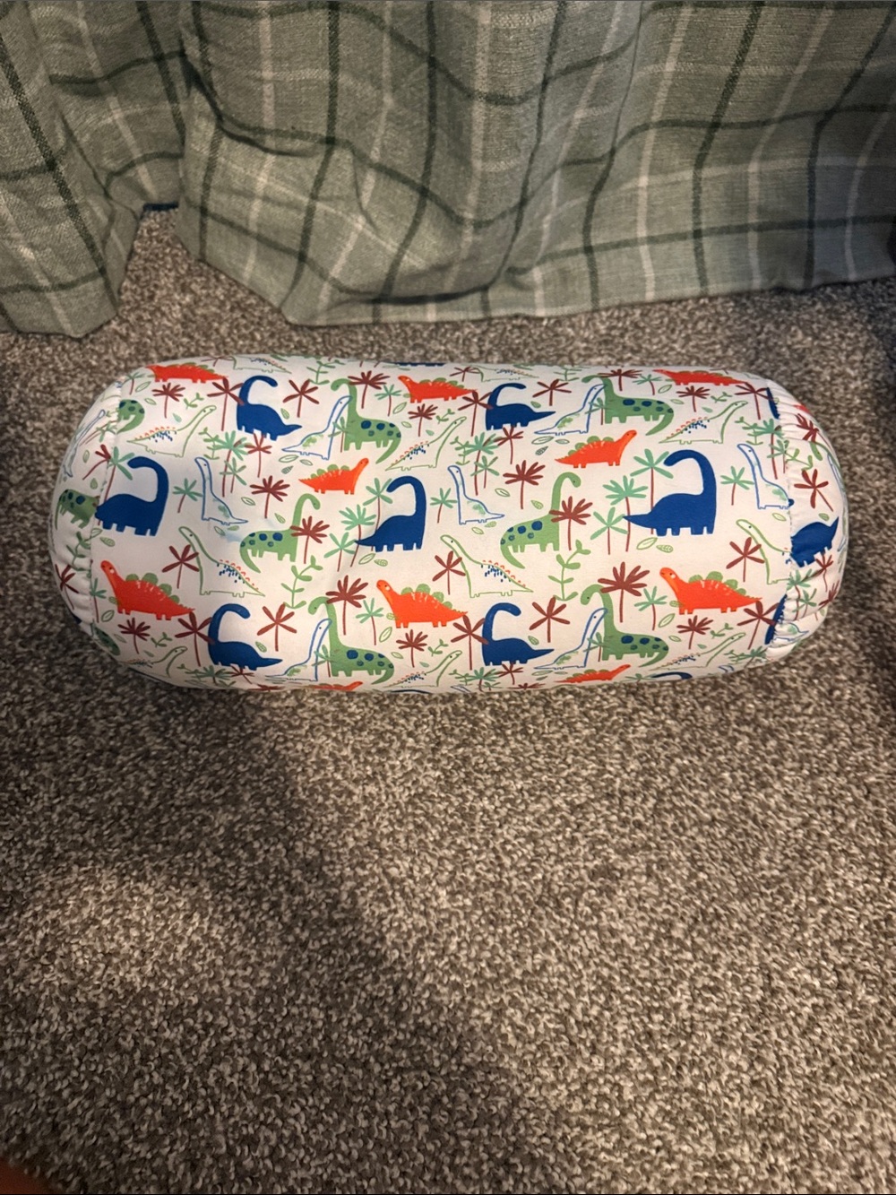 Kids Dinosaur Print Bolster Pillow - Blue, Green & Orange